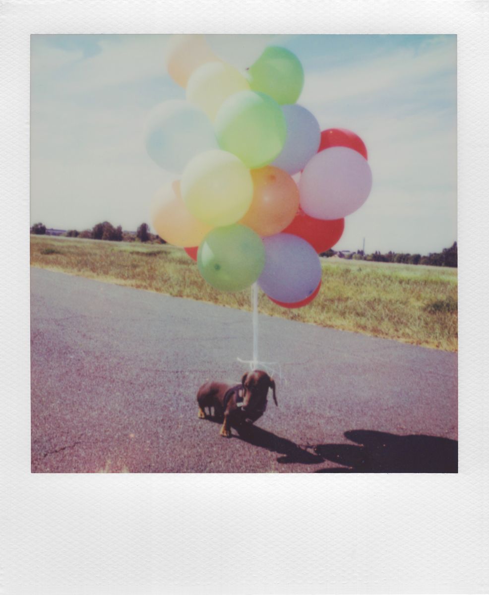 Polaroid I-2 Instant Camera- Parallel Import - In stock in South Africa